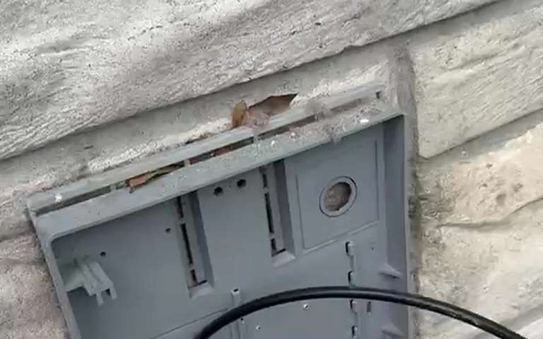 The outside end of a dryer vent on a painted block wall with the hood taken off, showing the gray mounting plate and a cable running out of the duct